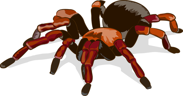 Uživatelský avatar